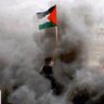 JamshaidRiaz112's profile picture. 