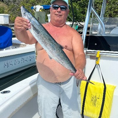 Licari111417671's profile picture. 