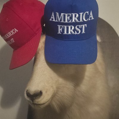 America First Follower, Christian Nationalist, Account number 671,304