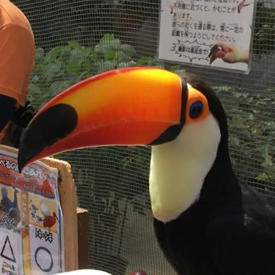 gagadefolt122's profile picture. 