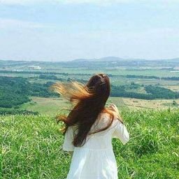 toothou60269's profile picture. 