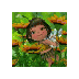 Anne Grove (@59bade) Twitter
