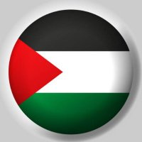 I'm Palestine 🇵🇸 (@epic4x) 's Twitter Profile