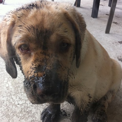 becca270303's profile picture. 