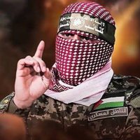 Hamed (@hamed63537851) 's Twitter Profile