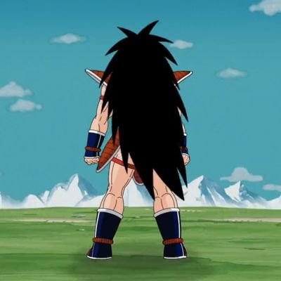 Raditz Defender