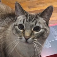 Sean P. Means (@seanpmeans) 's Twitter Profile Photo Sean P. Means (@seanpmeans) 's Twitter Profile Photo
