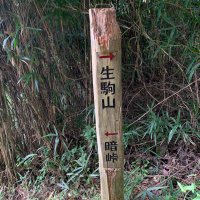 誠　マコト (@36s8uusadkrcwqi) Twitter profile photo