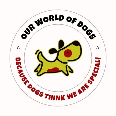 Dog Day care 
Where pups find their home away from home 🐾 
Providing top-notch dog boarding services
Dog Grooming 
24/7 Pick-up & Drop Facility 
Bangalore