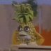 Ananas (@jesuisunananas1) Twitter profile photo