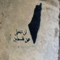 نِيـمْ 🇵🇸 (@tasneem_hussiny) 's Twitter Profile