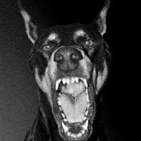 uMokhadö !🤮 (@umokhado) 's Twitter Profile