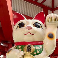 大須インフォ (@oosuinfo) Twitter profile photo