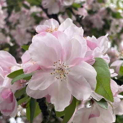 w3025590's profile picture. Like reading news.