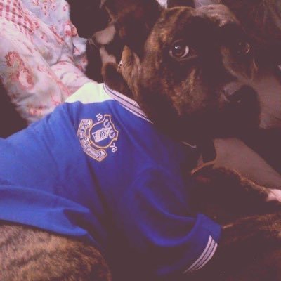 👍: Music, history, socialism, Everton, Celtic, beer. 👎: greed, monarchy, zionists, butcher’s apron shaggers, tra cult, to hell wi’ liverpool & rangers too