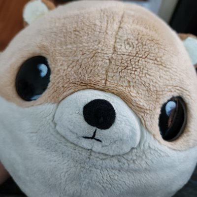 sjhsh352@naver.com
2025년에는 반드시! 웹툰 정식 연재에 성공하고야 말겠다!... 는 다짐을 하고 있습니다. 현재 원고 작업 돌입한 상태!
좋아하는 것 : 한복/역사/고증/죠죠/패키지게임/귀여운거/고전 일본영화/케데헌