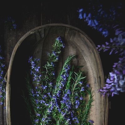 RxiRxng49025's profile picture. 