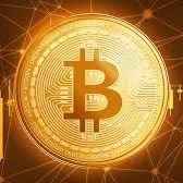 cryptoloveryo's profile picture. 👌🏽