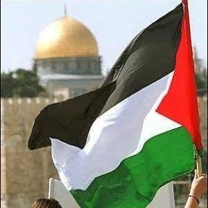 BasitMagray4's profile picture. ﷽, Entrepreneur,Proud Kashmiri Co_Owner/ Director CyberMed Fighting for Civil Supermacy. CEO PIM(Exceptional Billing services) #An_Accidental Activist.