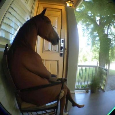 mkddre's profile picture. recommended by 4 out of 5 people ;)