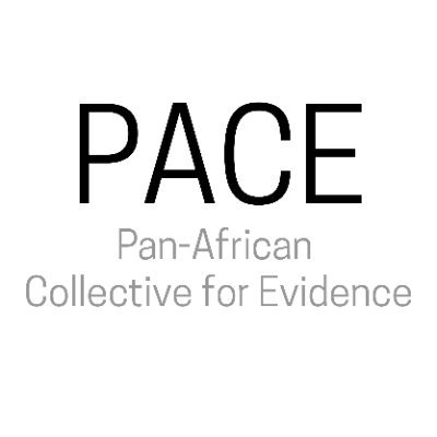 We are a non-profit organisation that specialises in supporting evidence-informed policy-making across Africa.