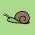 snail studies🐌 (@snail_studies) Twitter profile photo