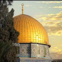 فاكر زمان (@ms86rayan86) Twitter profile photo