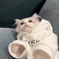 取引 (@5wppnlpwg) 's Twitter Profile
