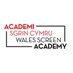 Wales Screen Academy (@WalesScreenAcad) Twitter profile photo
