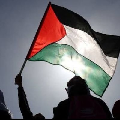 Samra3166969464's profile picture. 