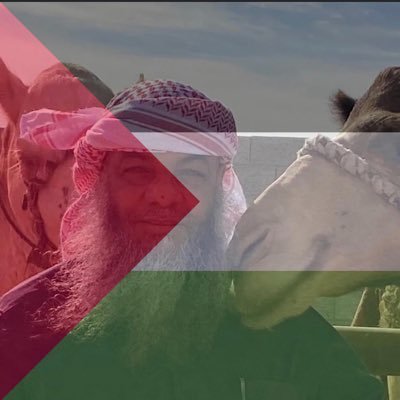 تتخصص الشركة فى انتاج وتوزيع كافة منتجات الابل من لحوم وألبان وتعتبر منتجات الابل الاكثر رواجا وطلبآ بالسوق المصرى حاليا لما تتميز به لحوم و البان الابل من قيم