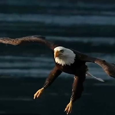 MuriasMargarita's profile picture. Aprendiendo, practicando 🤗😃🏊‍♂️🧘‍♂️🖌✏✒