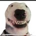 jc5442 (@jc514232) Twitter profile photo jc5442 (@jc514232) Twitter profile photo