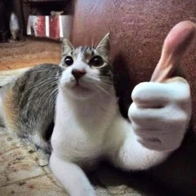 williamsglasses's profile picture. i make art (PROSHIPPERS DNI)

Jean , Nick , Ean , Noah

🇵🇭🏳️‍⚧️⭐

He / Him 

Art can be used with credit!

CW: For Nudity / suggestive, Blood , And Violence.