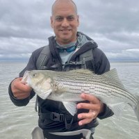 Daniel Sepulveda (@dsepdc) 's Twitter Profile