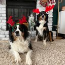 Ted Brady - @shepsisters - Twitter