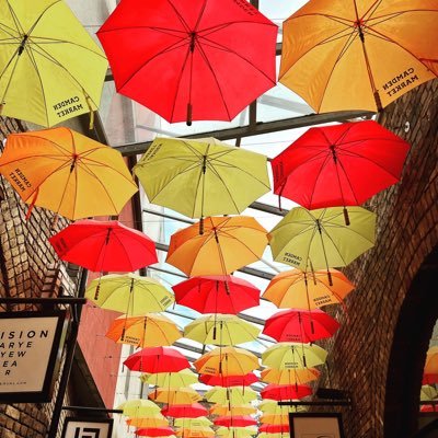 yanimann's profile picture. 