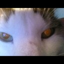 michael storer - @4tify1 - Twitter