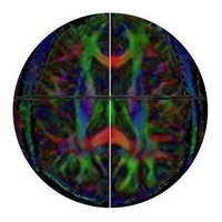 Chirag Patel (@cpatel_lab) 's Twitter Profile