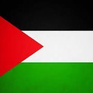 Rana🇵🇸🔻🥷 (@reko_hamza) 's Twitter Profile