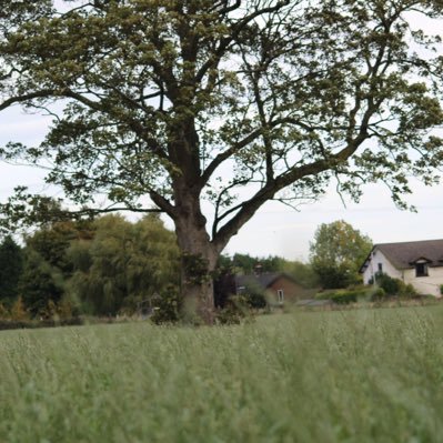 Zappy0920's profile picture. 