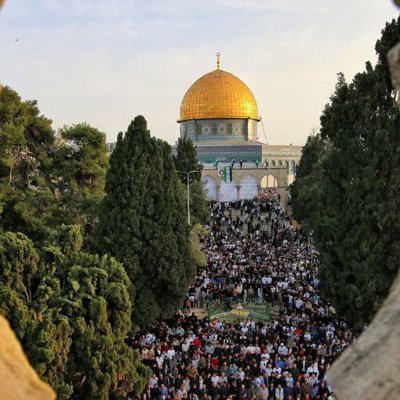 forweb9666's profile picture. 