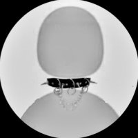 T (@subbee126) 's Twitter Profile