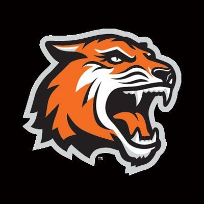 The Official Twitter page of the RIT Men's Basketball Team.