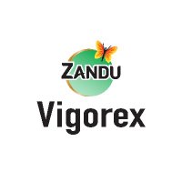 Zandu Vigorex(@zvigorex) 's Twitter Profile Photo
