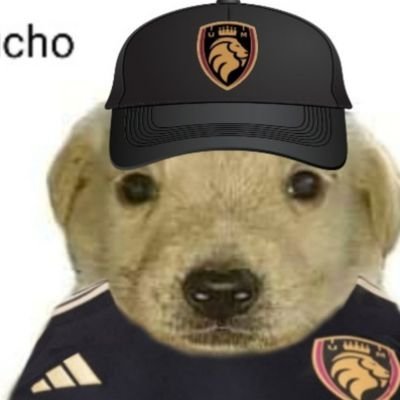 James210410's profile picture. Español sin filtros. Culé de corazón. Pensamiento libre, sin miedo ni complejos. Patriota claro y firme. Viva VOX.