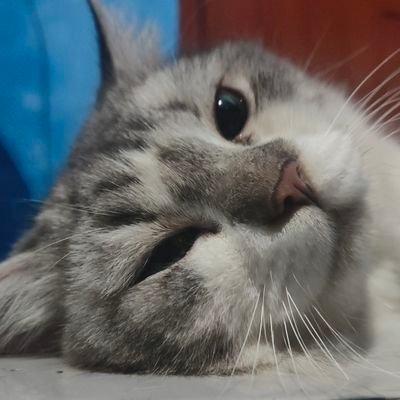 wrongpath35's profile picture. Master of none