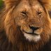 Uncle kenny Lion (Àgú) 🗯🌎🤴🏼 (@kennybarrr) Twitter profile photo