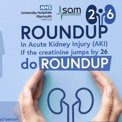 Dr Austin Hunt Consultant Nephrologist  (AKI SIG lead Society of Acute Medicine) We aim to make AKI management easy with ROUNDUP 26