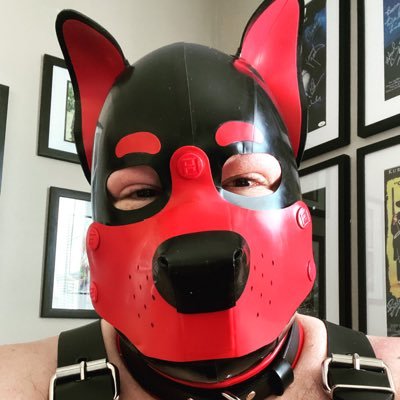 KydoPup Profile Picture